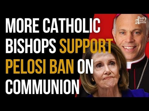 Growing Number Of Catholic Bishops Support Bishop Banning Pelosi From ...